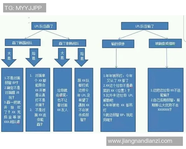 全球总决赛分析WE战队的实力与表现全面解读